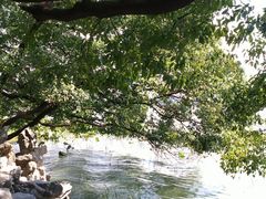 -东湖落雁景区