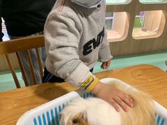 -藦茜花园宠物主题亲子互动体验馆(国顺东路店)