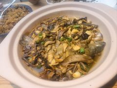 -滇铺子·云南特色菜·第九届野生菌美食节(东风东路c86店)
