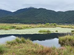 -腾冲北海湿地