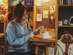 -有猫主题·治愈系猫咖(曾厝垵店)