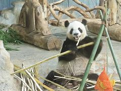 -海南热带野生动植物园