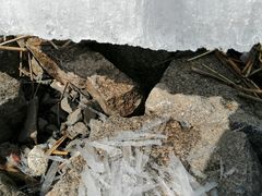 -白渔泡湿地公园