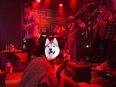 -阿卡贝拉音乐汇(印象城店)