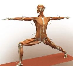 点击看大图 -U+YOGA优伽瑜伽·普拉提