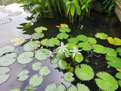 -云溪植物园