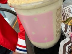 -瞄一喵猫咖(格力海岸店)