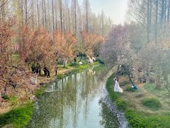 -洛阳市隋唐城遗址植物园