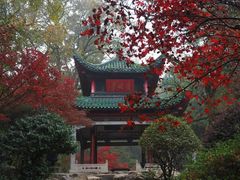 -岳麓山风景名胜区