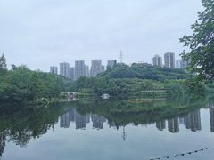 -重庆彩云湖湿地公园