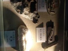 -龙虎山世界地质公园博物馆