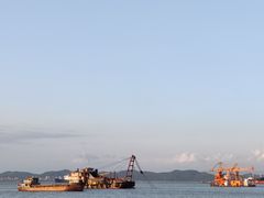-大湾区中央湿地公园