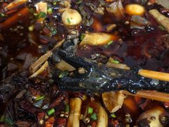 -黑竹香鸡(营和巷店)