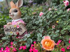 -人民公园(罗湖区)