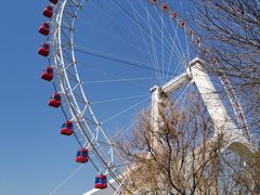 -天津之眼摩天轮