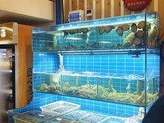-鑫正兴东北烧烤(滨湖店)