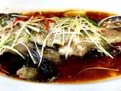 清蒸石斑-鹏天阁酒楼·海鲜(红旗店)