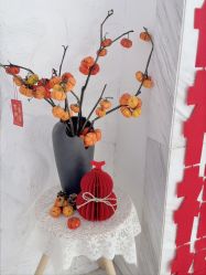 -小梨专业脱毛连锁机构