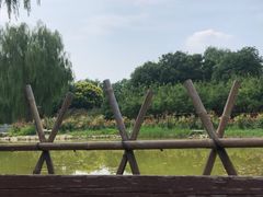 -东升八家郊野公园