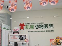 -悦宠凯宝动物医院·牙科·皮肤科(朝阳北路店)