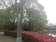 -梁鸿国家湿地公园