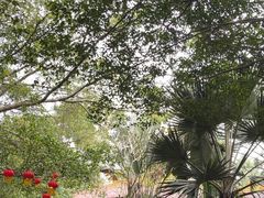 -海南热带野生动植物园