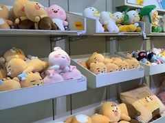 -KAKAO FRIENDS(弘大店)
