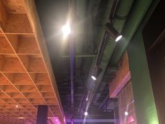 大堂-蒙料·手把肉(望京店)