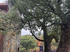-上坦村