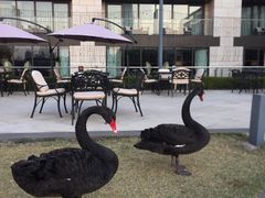 -行者书屋大堂吧 ·下午茶(南京圣和府邸酒店)