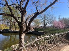 -北京西山国家森林公园