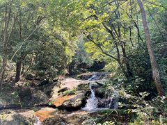 -燕子河大峡谷天坑仙境