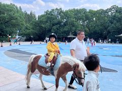 -杭州少年儿童公园