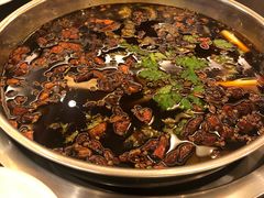 -川道拐耗儿鱼(旗舰店)