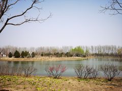 -东郊湿地公园