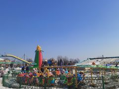 -绿野森林乐园冰雪季