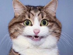 -海胆小馆(东北水饺·春柳店)