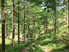 -午潮山国家森林公园