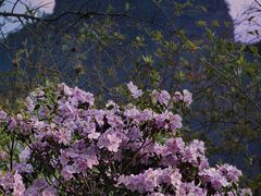-雁荡山风景名胜区