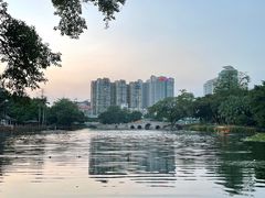 -荔湾湖公园