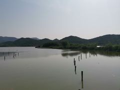 -鸣鹤古镇