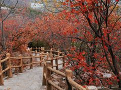 -周口店坡峰岭风景区