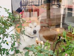 -餐酒吧Com-ing Bar(上海路店)