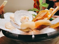 蛏子-汤城·料青山