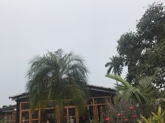 -花溪雨·森林餐厅(石基店)