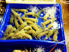-班赞海鲜市场