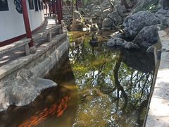 -石钟山