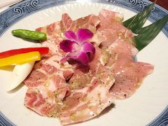 -台场海滨公园船码头