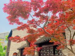 -云龙湖旅游景区