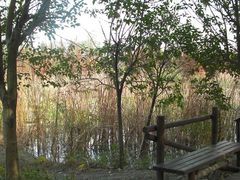 -溱湖国家湿地公园